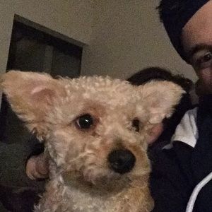 Meet your Posher, Frank